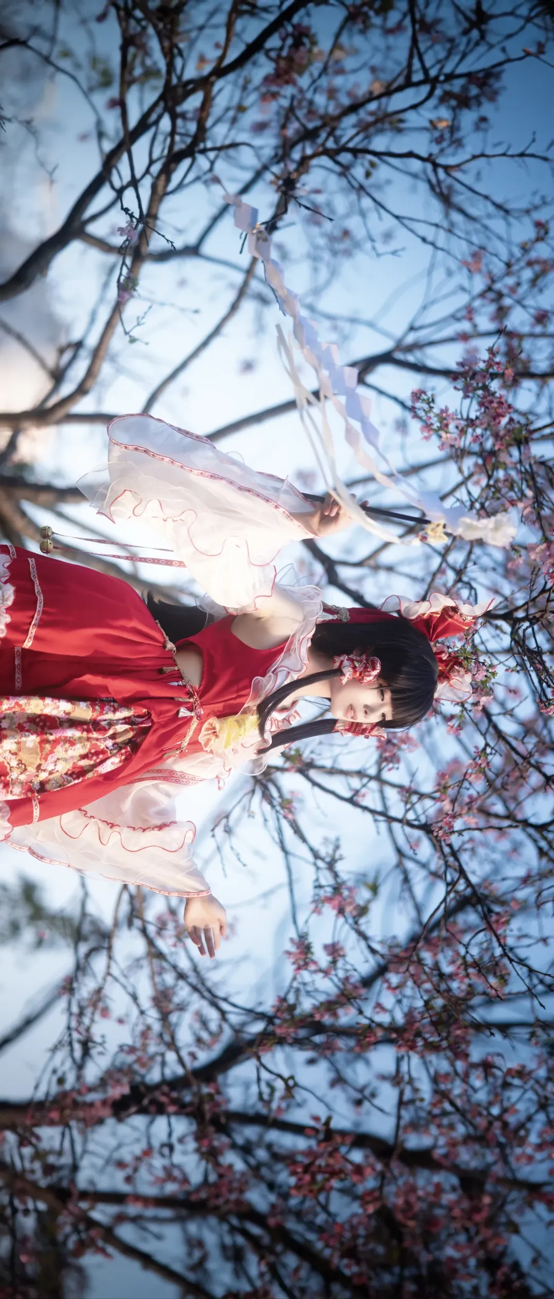 【博丽灵梦cos】东方project夜樱花下的巫女 - 第 3 张