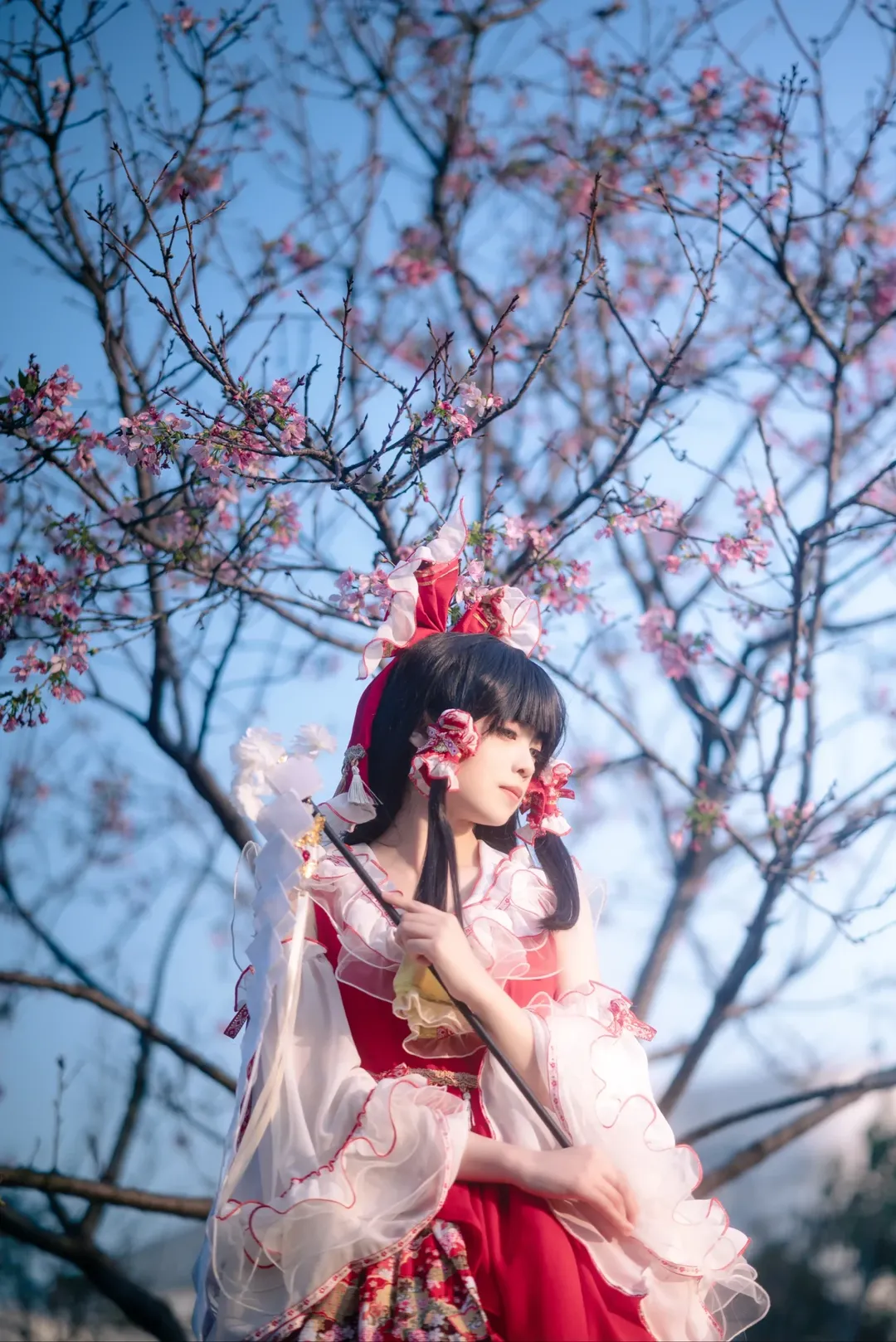 【博丽灵梦cos】东方project夜樱花下的巫女 - 第 9 张
