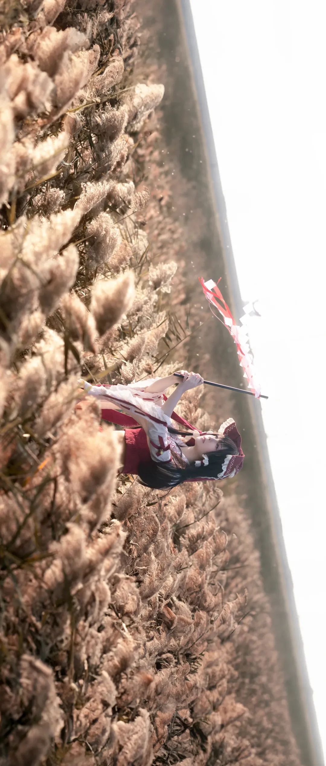 【博丽灵梦cos】东方project幻想乡的自然光影与芦苇荡