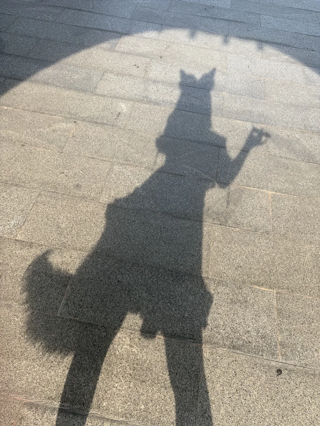 【狐狸cos】东方project的夏日剪影与可爱二设