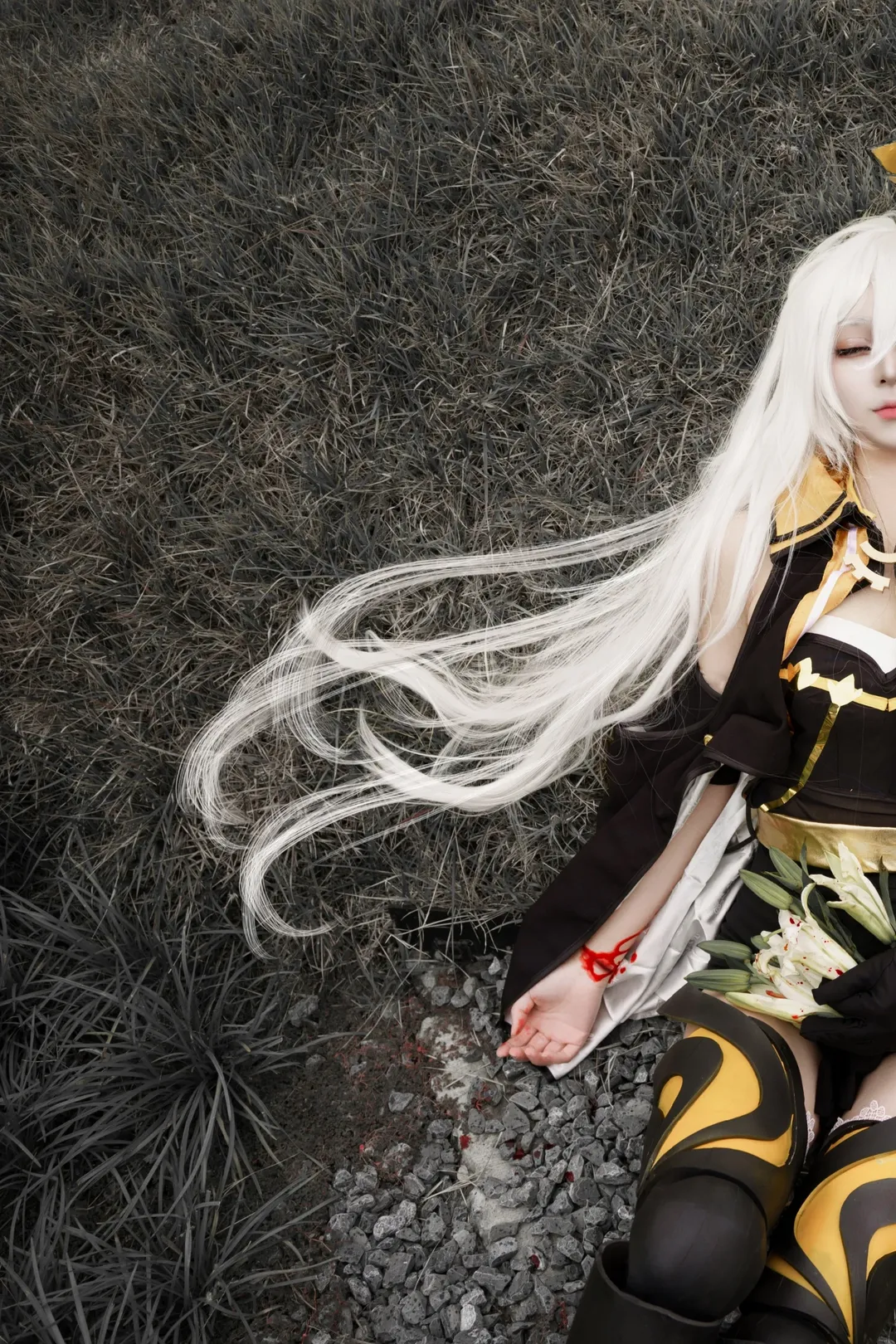 [Cecilia Cosplay] Between Black and White: The White Knight Sleeping upon Gravel - Image 1
