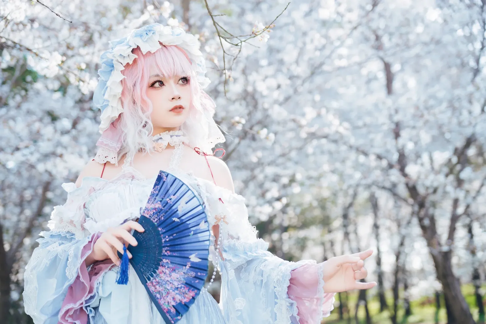 【西行寺幽幽子cos】樱花树下，亡灵少女的轻盈身影 - 第 3 张