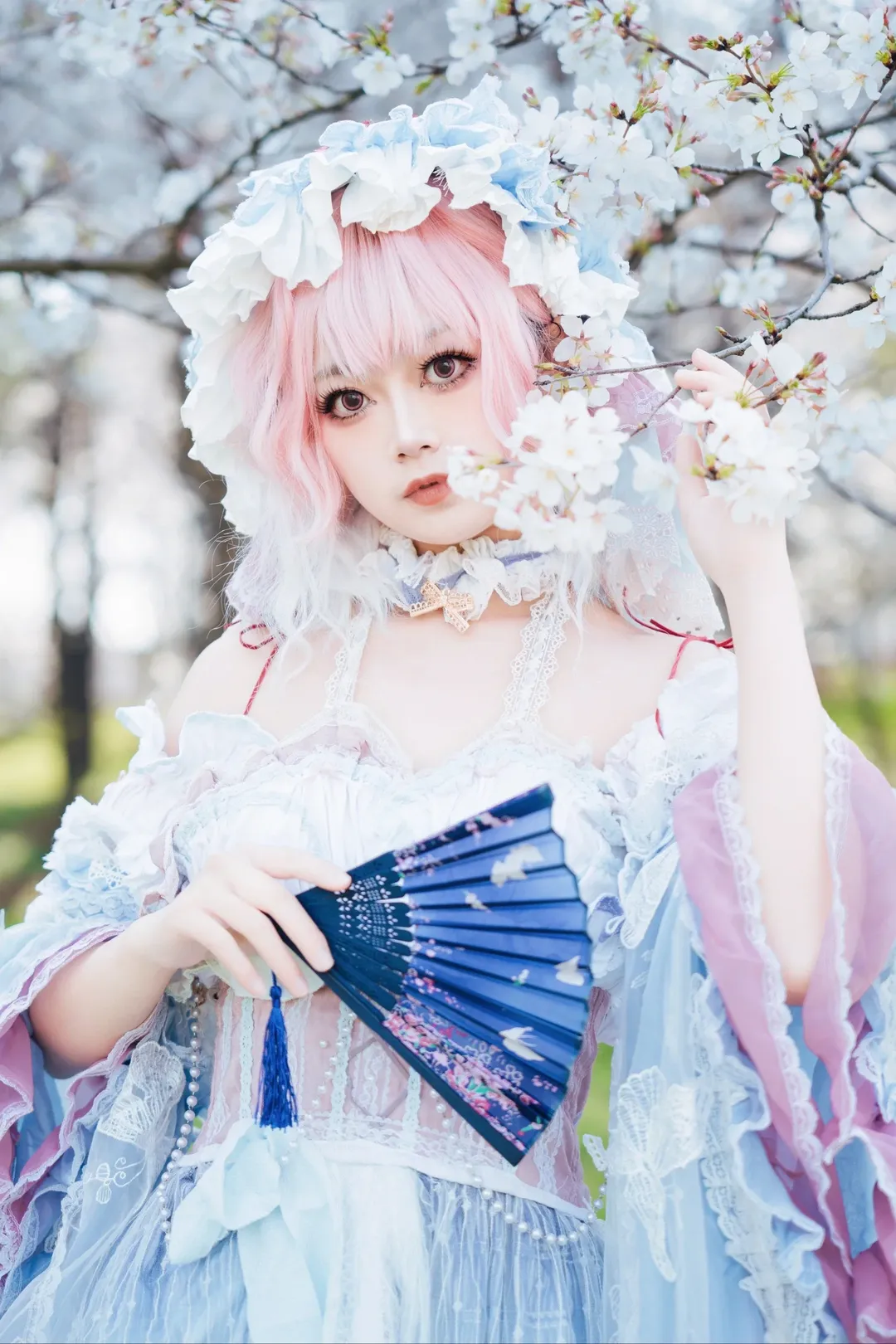 【西行寺幽幽子cos】樱花树下，亡灵少女的轻盈身影 - 第 5 张