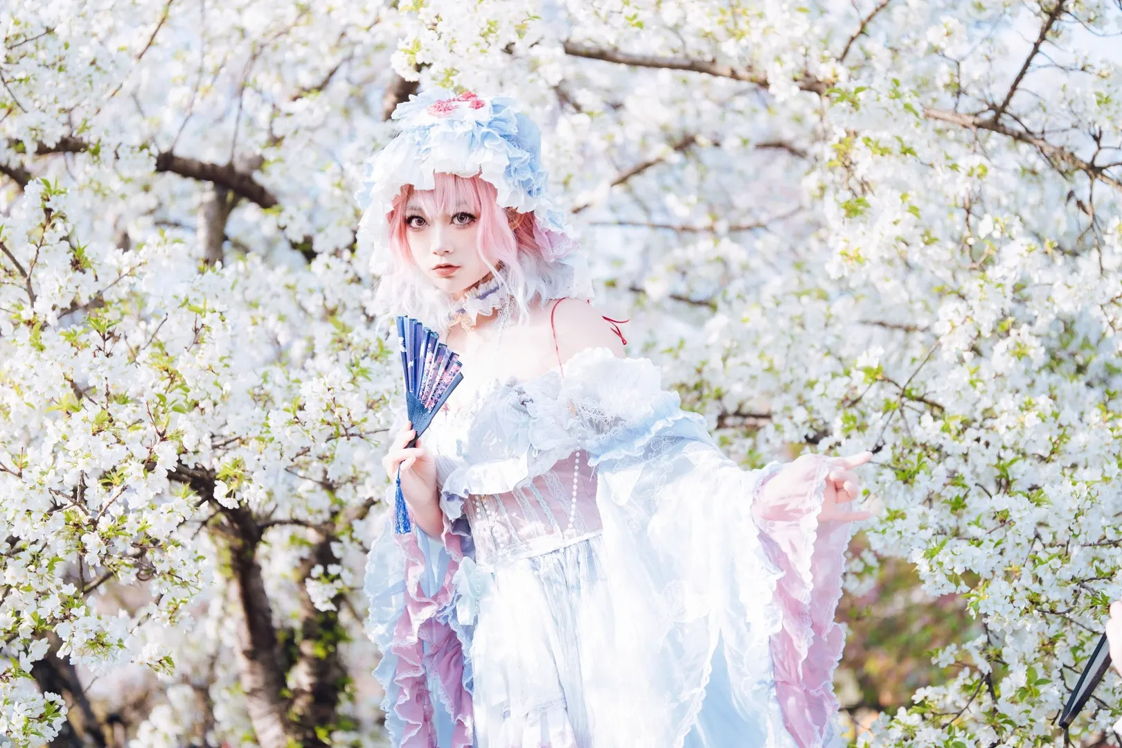 【西行寺幽幽子cos】樱花树下，亡灵少女的轻盈身影 - 第 6 张