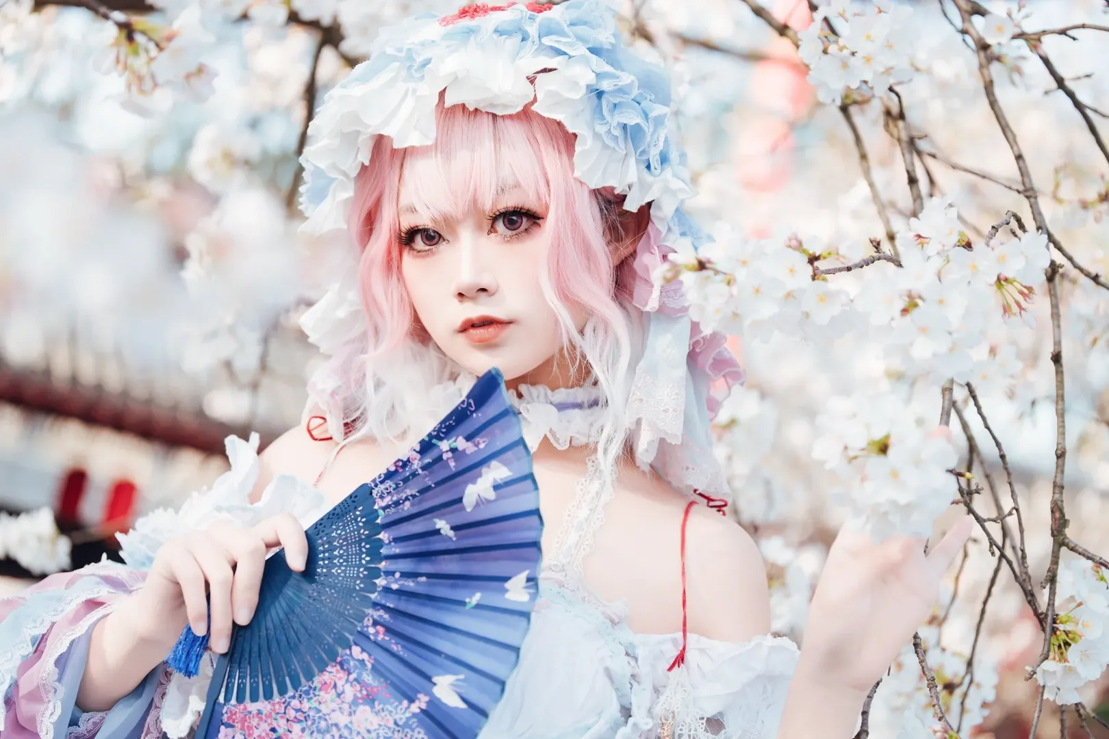 【西行寺幽幽子cos】樱花树下，亡灵少女的轻盈身影 - 第 7 张