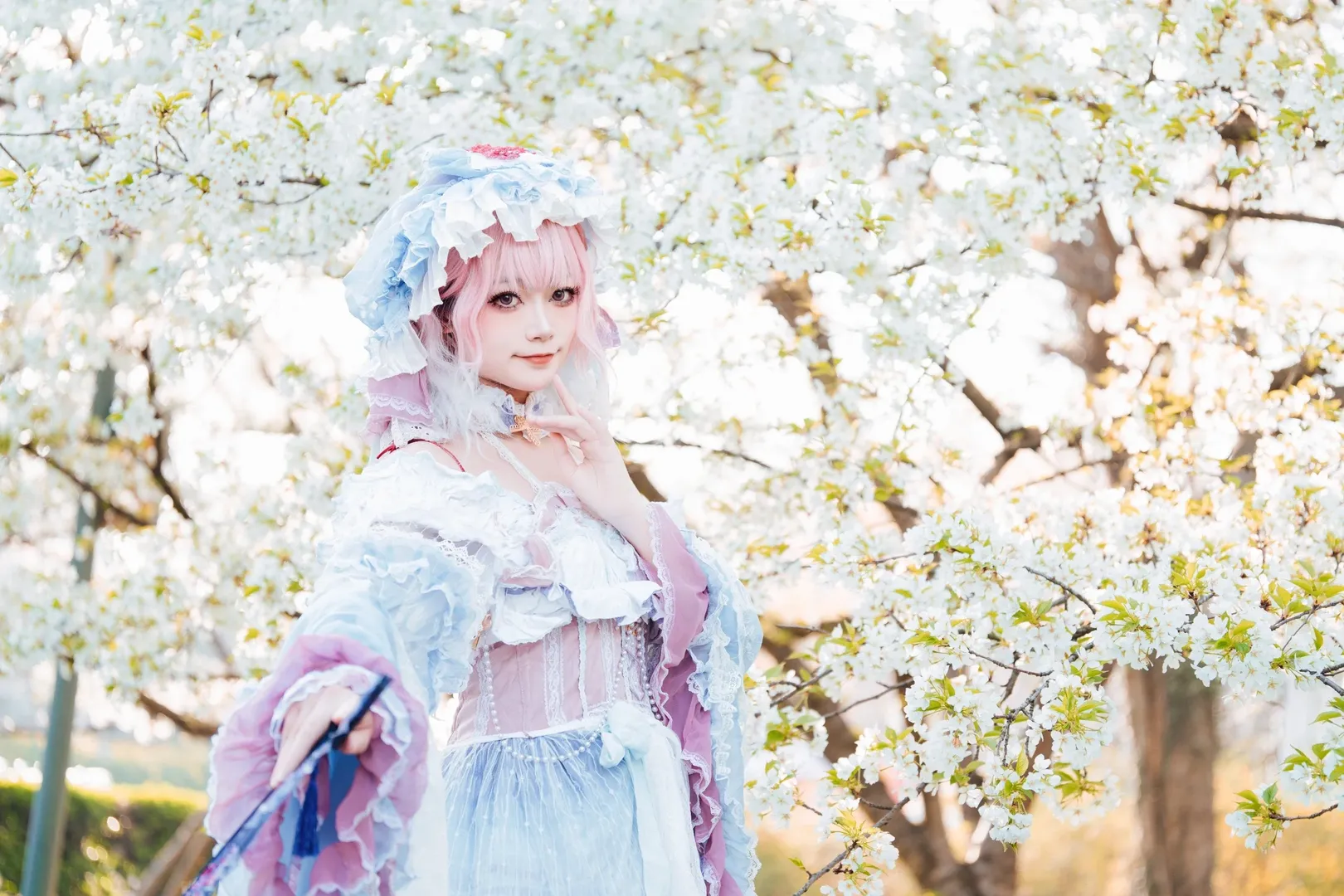 【西行寺幽幽子cos】樱花树下，亡灵少女的轻盈身影 - 第 8 张