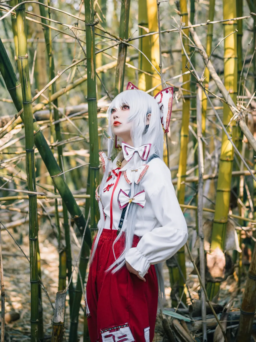 【藤原妹红cos】竹林里的不死火鸟，红白交织的生存哲学 - 第 1 张