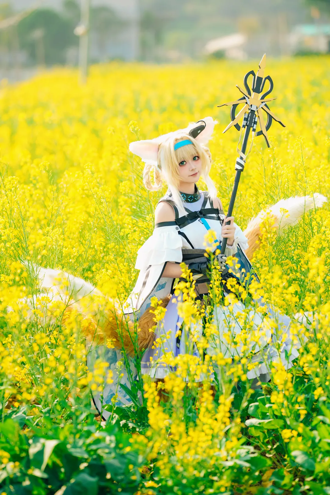 【铃兰cos】明日方舟金色花海中的治愈时光