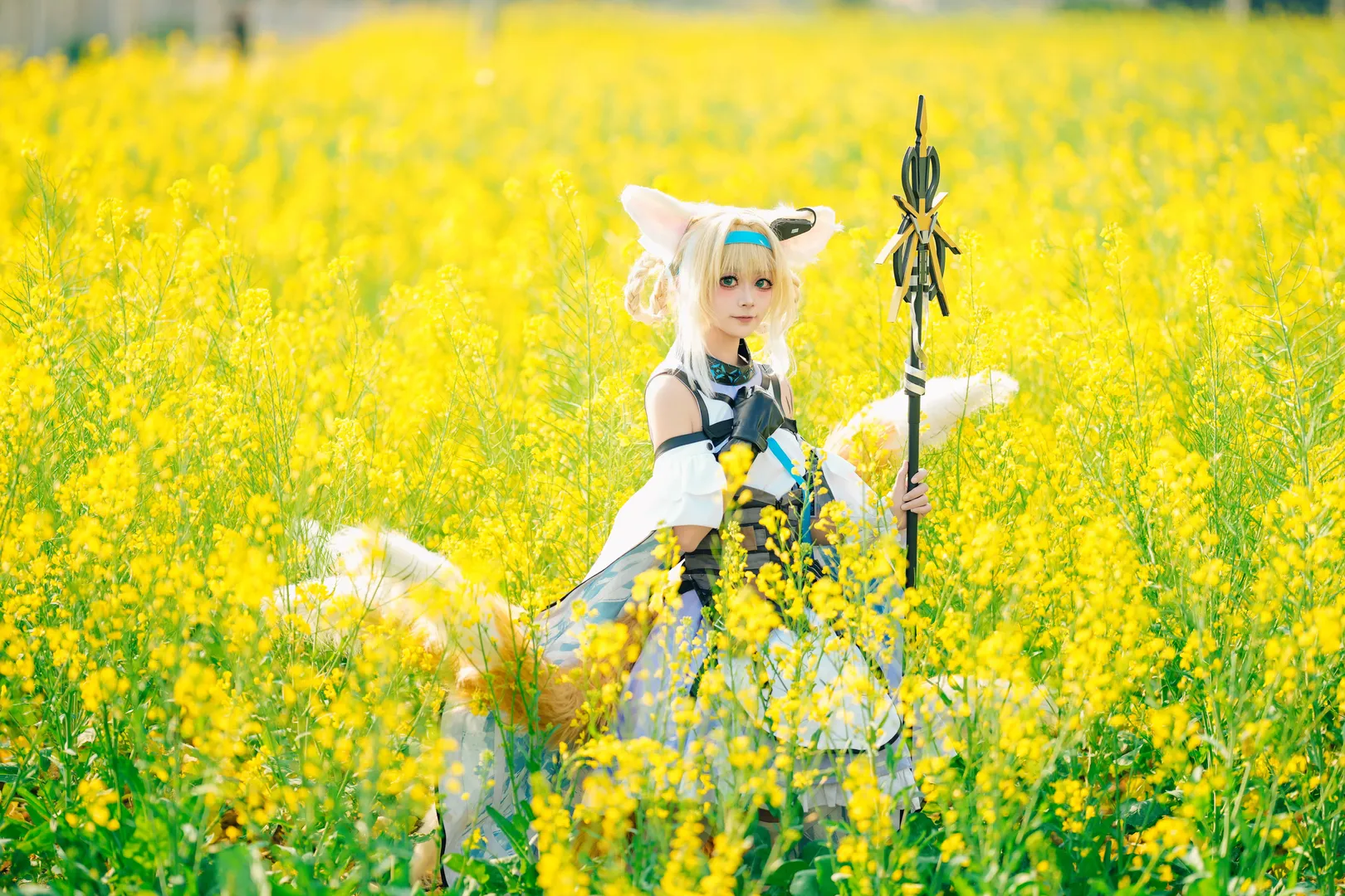 【铃兰cos】明日方舟金色花海中的治愈时光 - 第 2 张