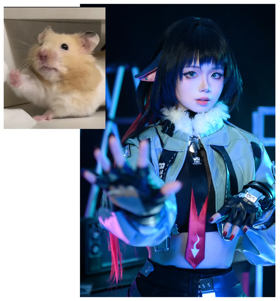 [Jane Doe cosplay] The Mental State of a Zenless Zone Zero Agent — Captured Perfectly by Hamster Memes - Image 10