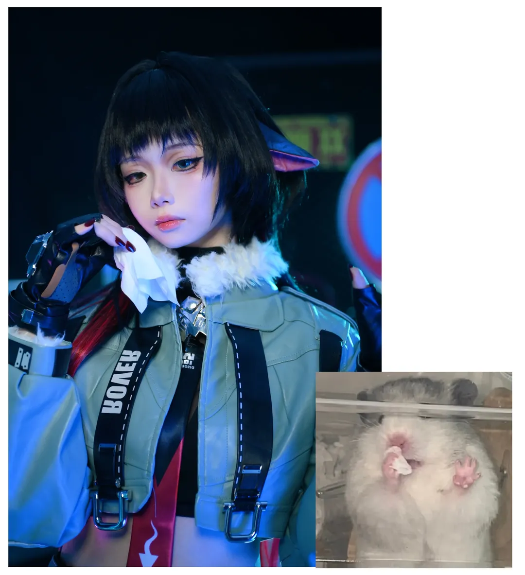 [Jane Doe cosplay] The Mental State of a Zenless Zone Zero Agent — Captured Perfectly by Hamster Memes - Image 5