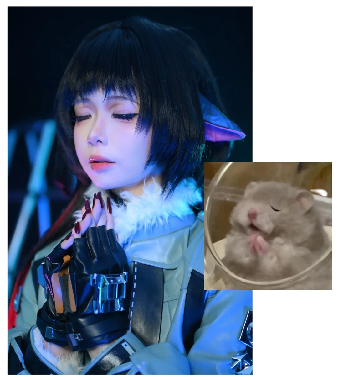 [Jane Doe cosplay] The Mental State of a Zenless Zone Zero Agent — Captured Perfectly by Hamster Memes - Image 6