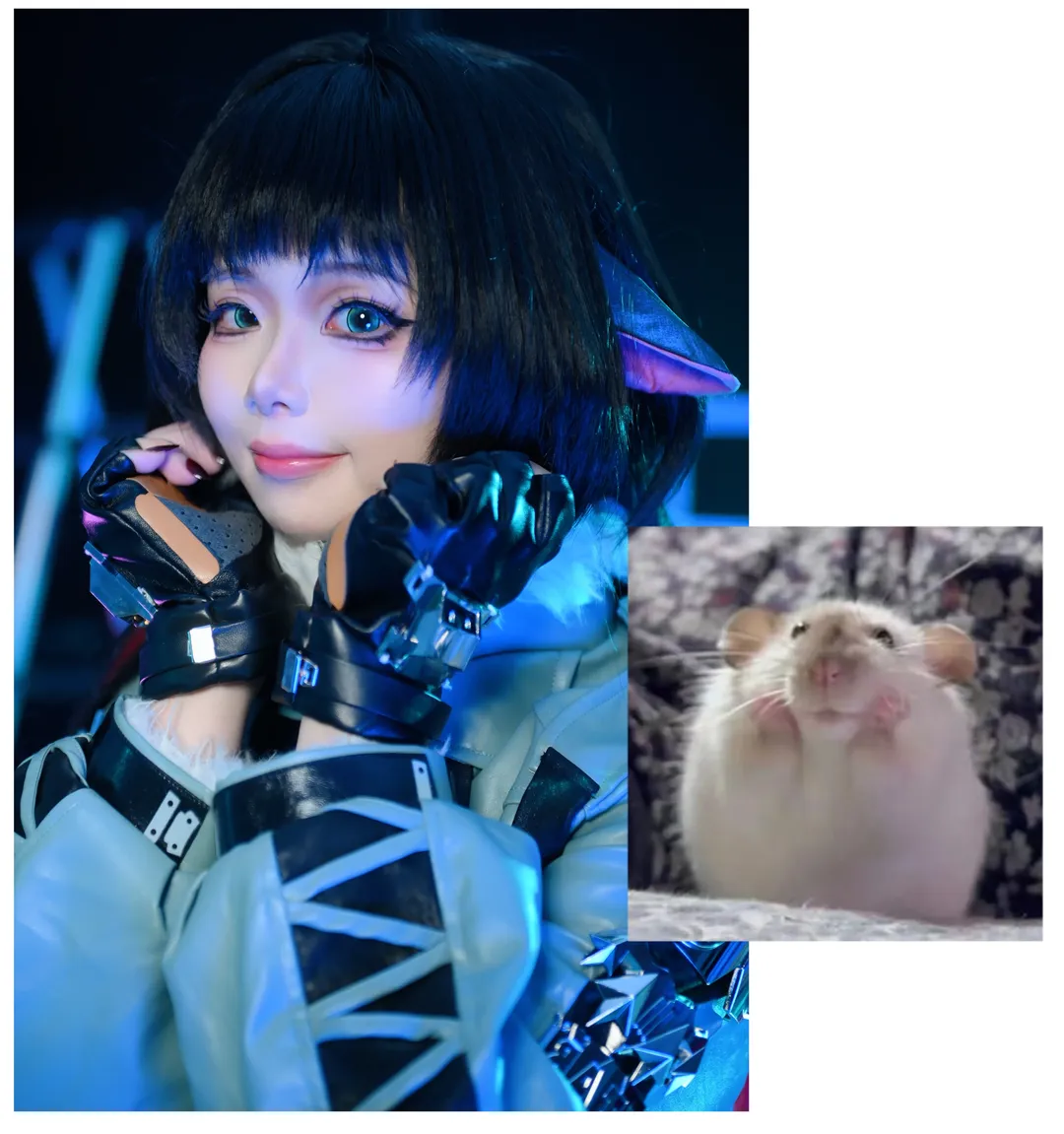 [Jane Doe cosplay] The Mental State of a Zenless Zone Zero Agent — Captured Perfectly by Hamster Memes - Image 8
