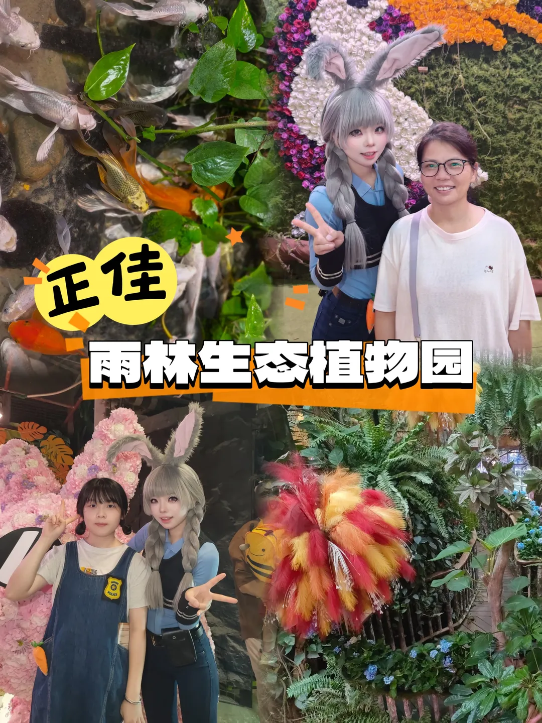 【朱迪cos】在正佳雨林生态植物园做一天兔子警官 - 第 1 张