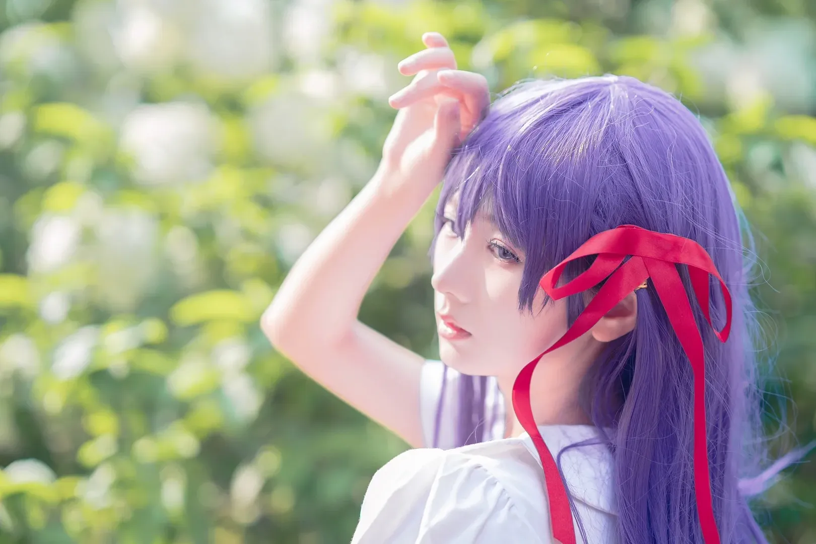 【间桐樱cos】清晨绣球花丛的拍摄记录
