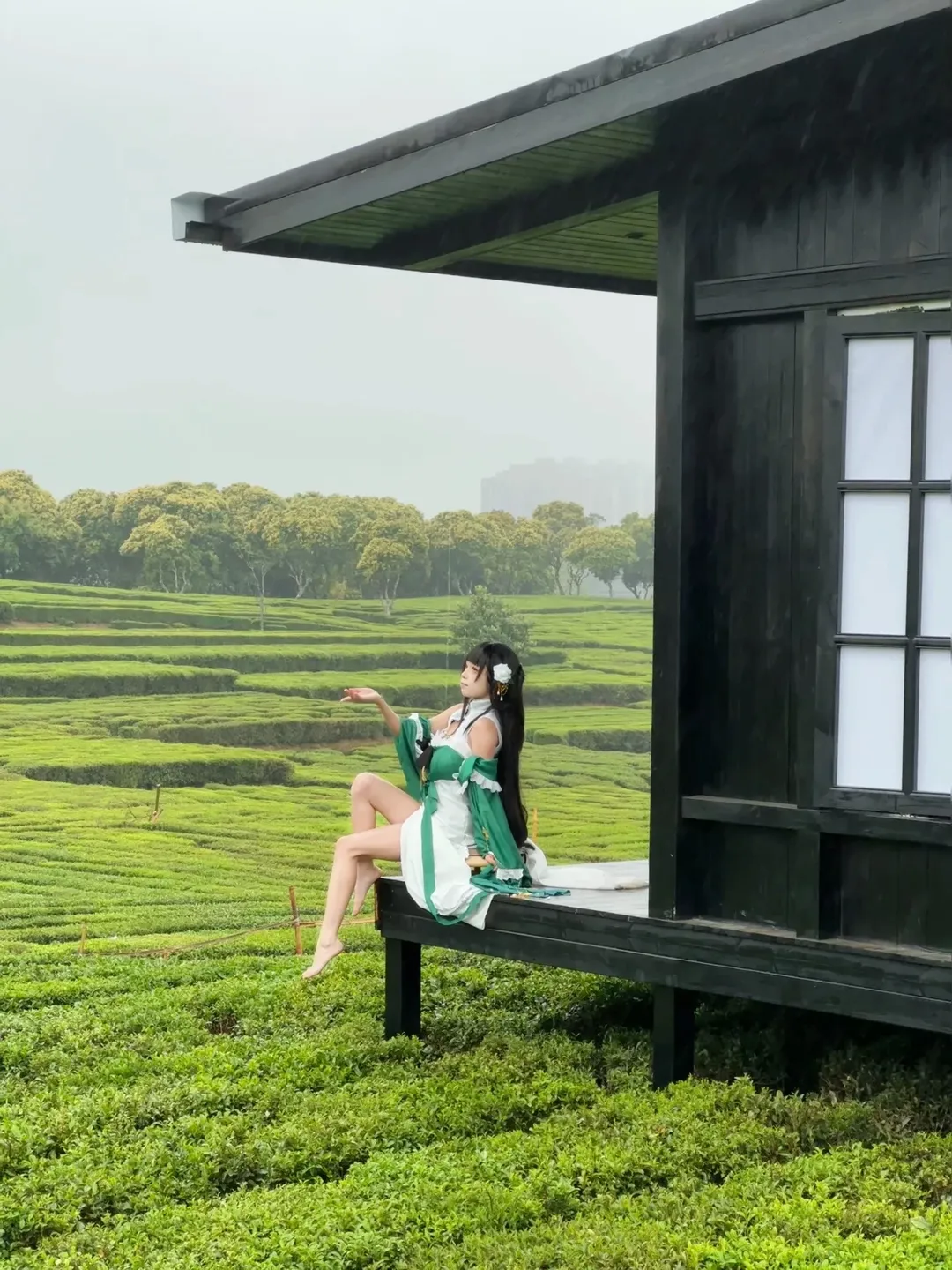 【碧蓝航线逸仙cos】在烟雨茶田间的静谧午后 - 第 1 张