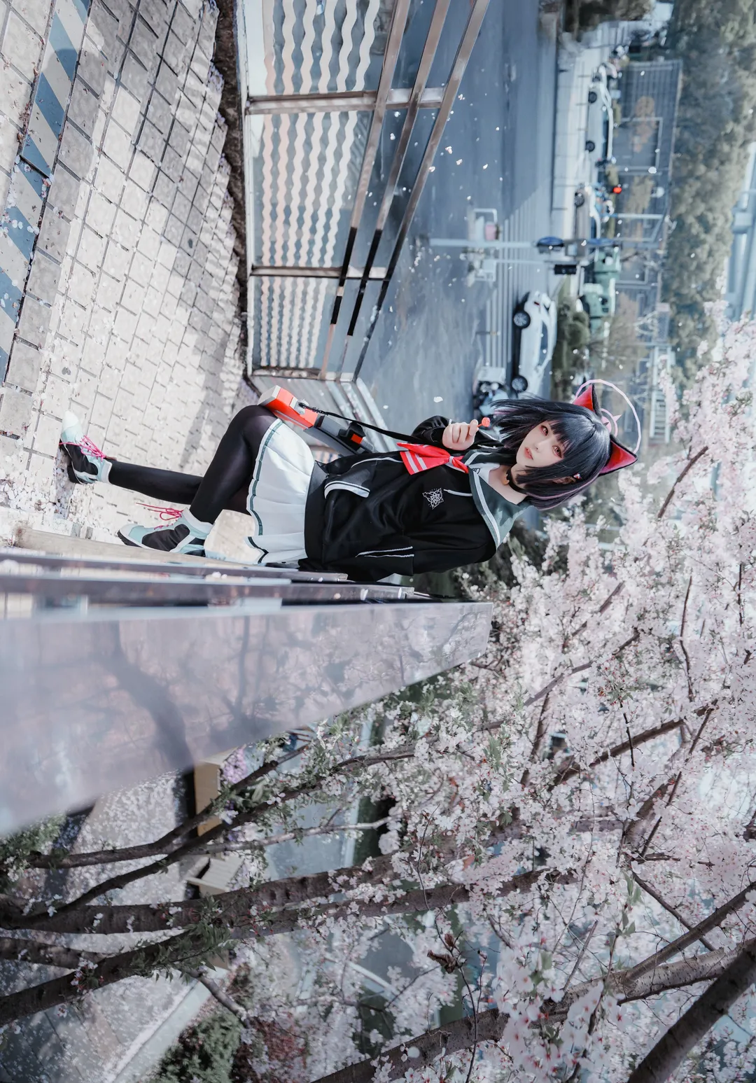 【杏山和纱cos】蔚蓝档案里带着猫耳的春日樱花散步 - 第 1 张