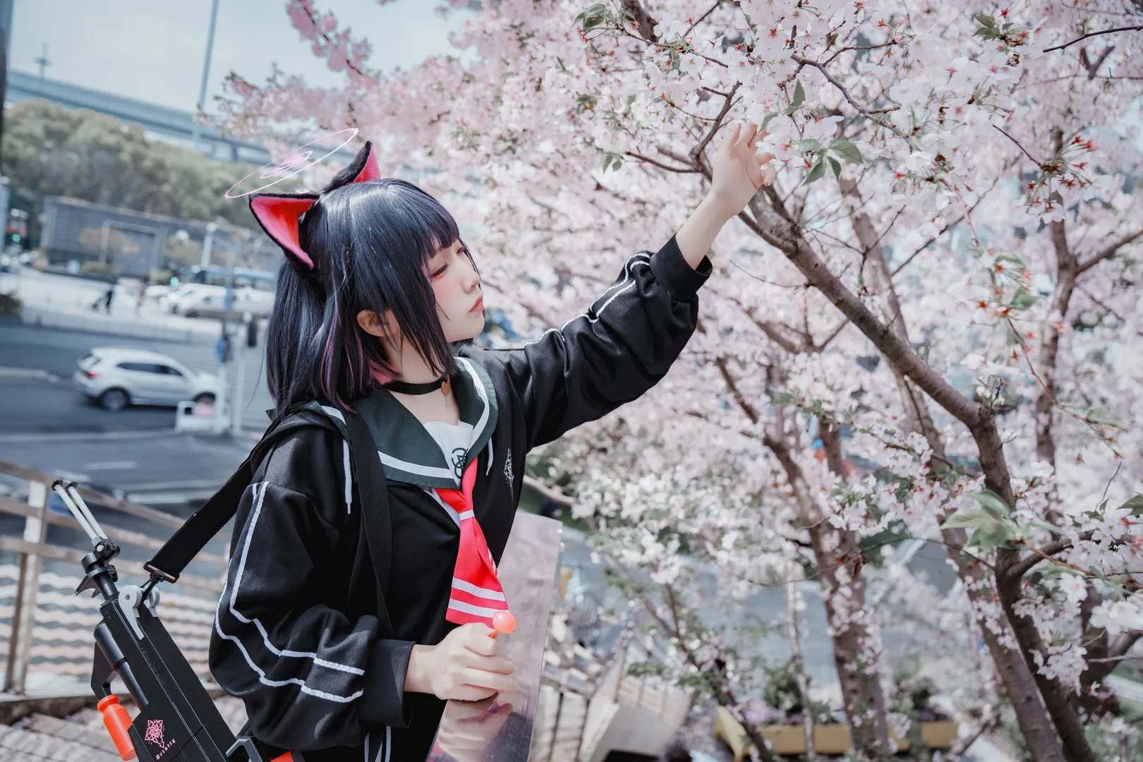 【杏山和纱cos】蔚蓝档案里带着猫耳的春日樱花散步 - 第 4 张