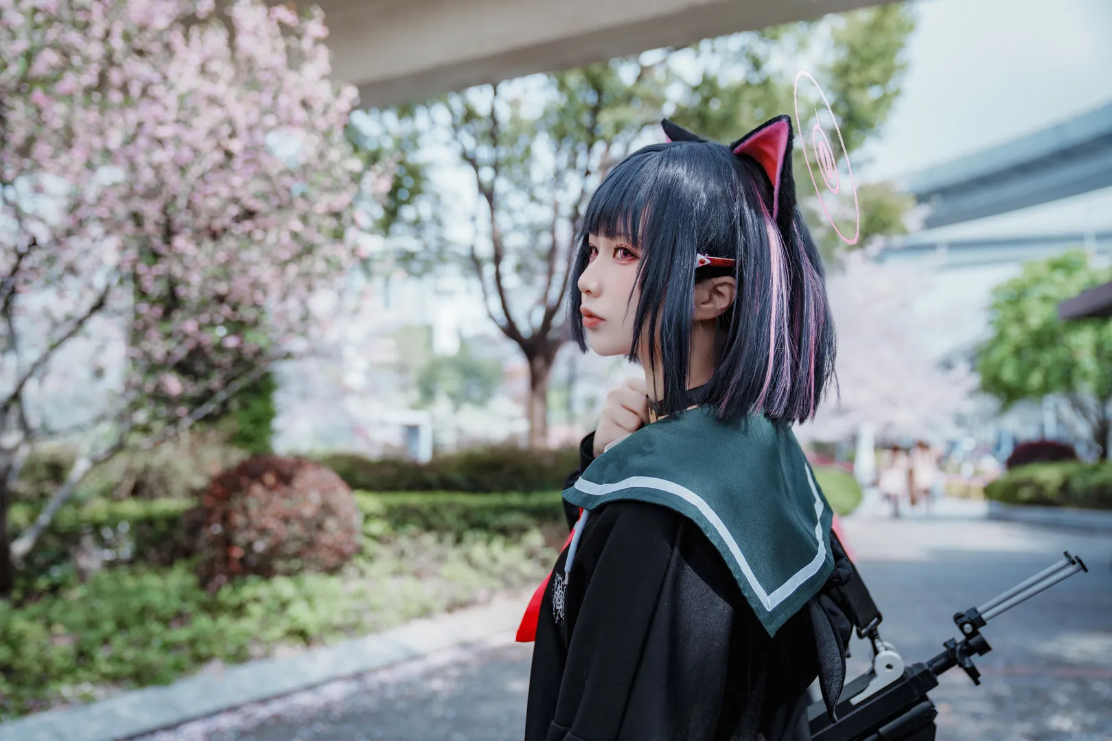 【杏山和纱cos】蔚蓝档案里带着猫耳的春日樱花散步 - 第 5 张