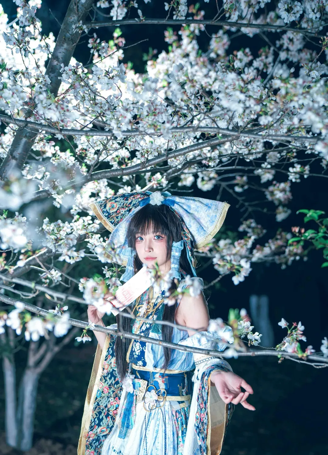 【博丽灵梦cos】夜樱下的蓝灵梦，东方project的梦幻瞬间