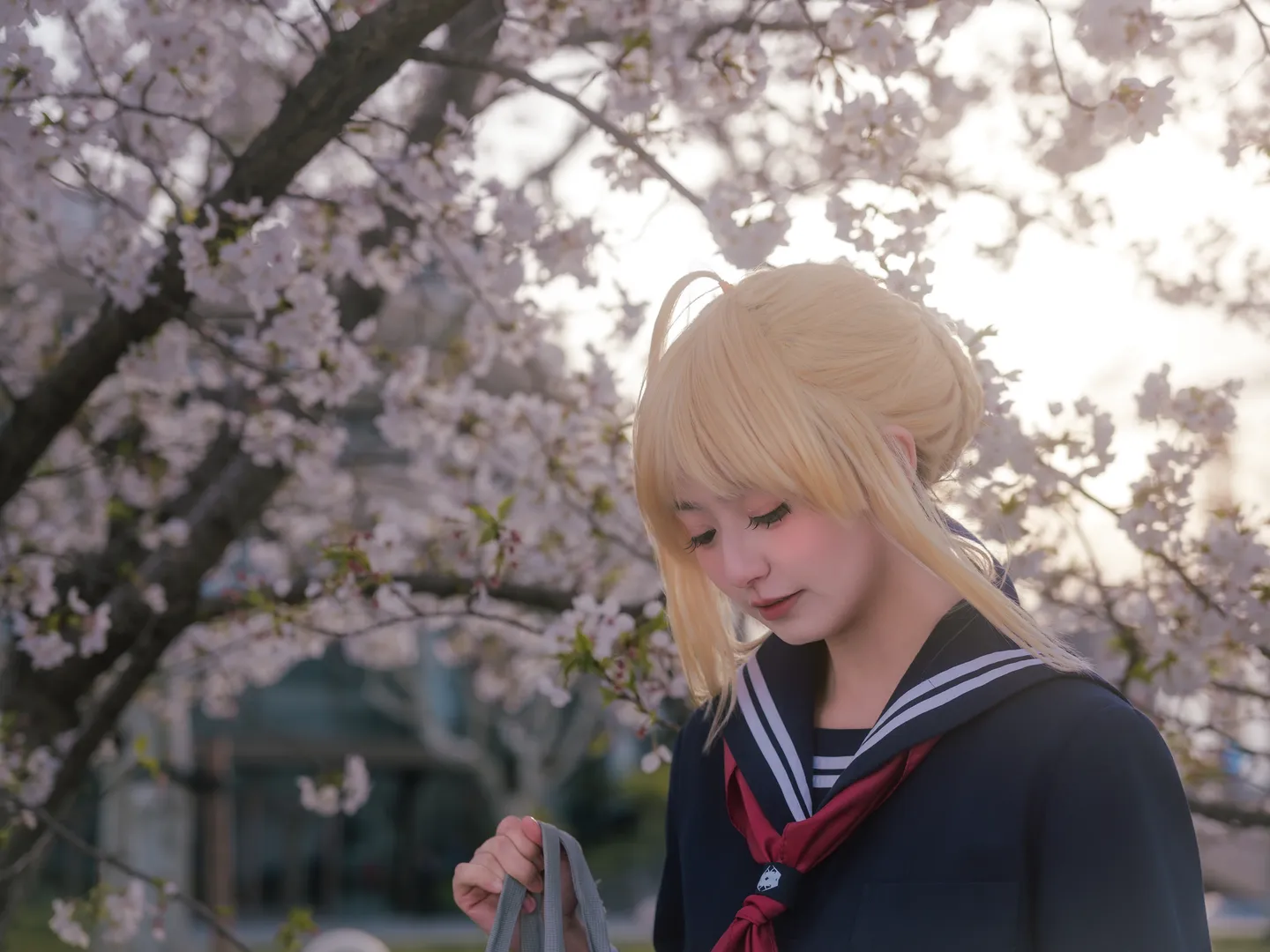【阿尔托莉雅cos】Fate系列JK造型，龙美术馆樱花下的春日时光 - 第 12 张