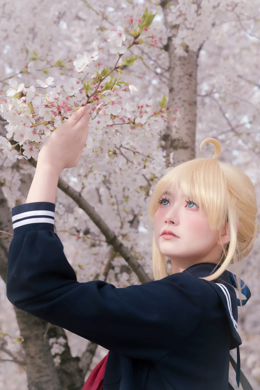【阿尔托莉雅cos】Fate系列JK造型，龙美术馆樱花下的春日时光 - 第 2 张