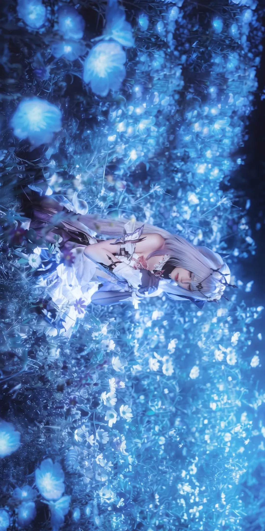 【遐蝶cos】崩坏星穹铁道，温柔花海里的夜精灵