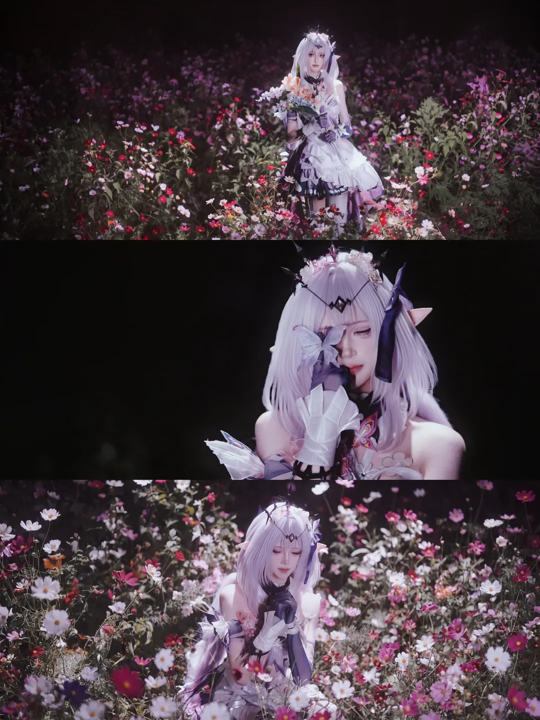 【遐蝶cos】翁法罗斯的星夜与花海，静谧的幽蝶之影 - 第 3 张
