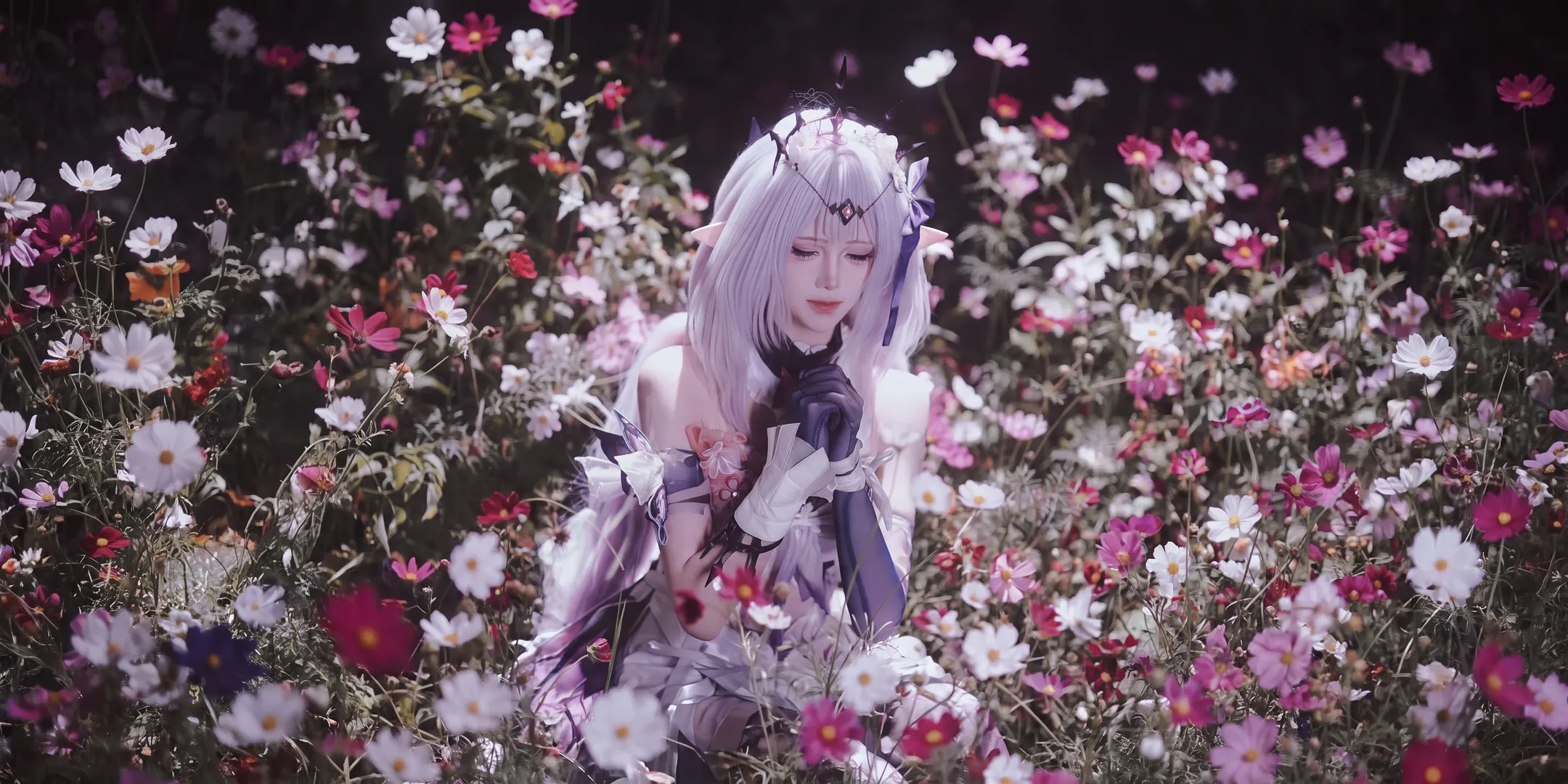 【遐蝶cos】翁法罗斯的星夜与花海，静谧的幽蝶之影 - 第 6 张