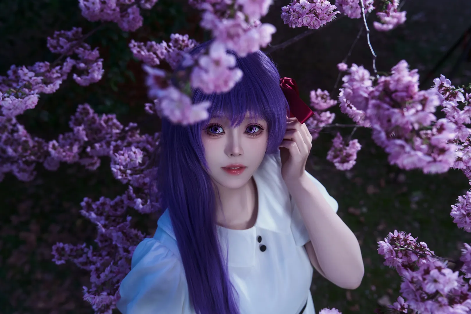 【间桐樱cos】请留在我身边，雨夜樱花下的记录