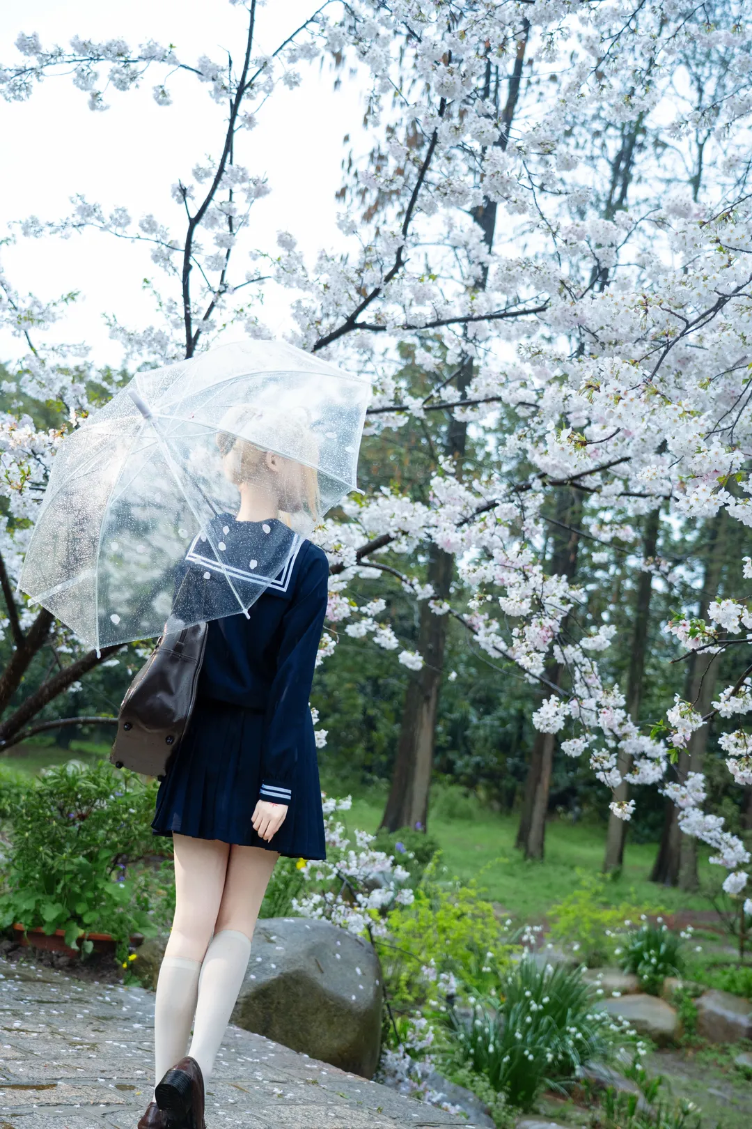 【阿尔托莉雅cos】水手服与樱花，阴雨天的拍摄日记 - 第 2 张