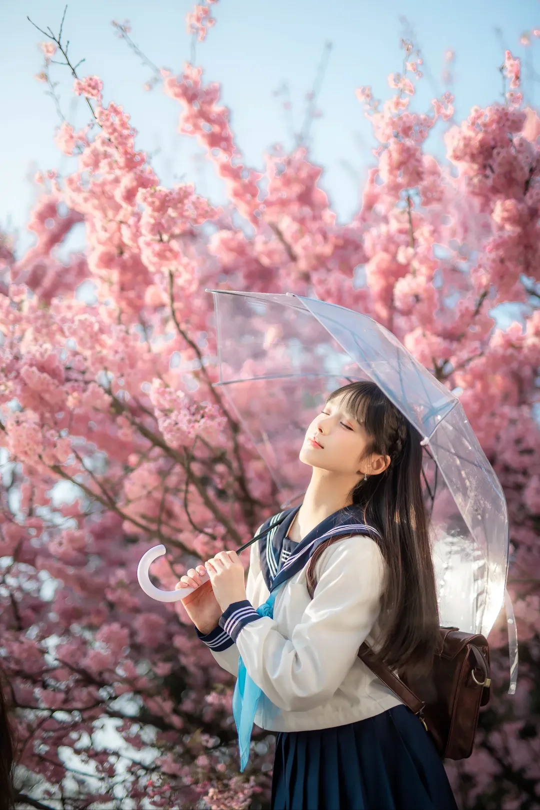【明日酱cos】被樱花包围的春日水手服 - 第 2 张