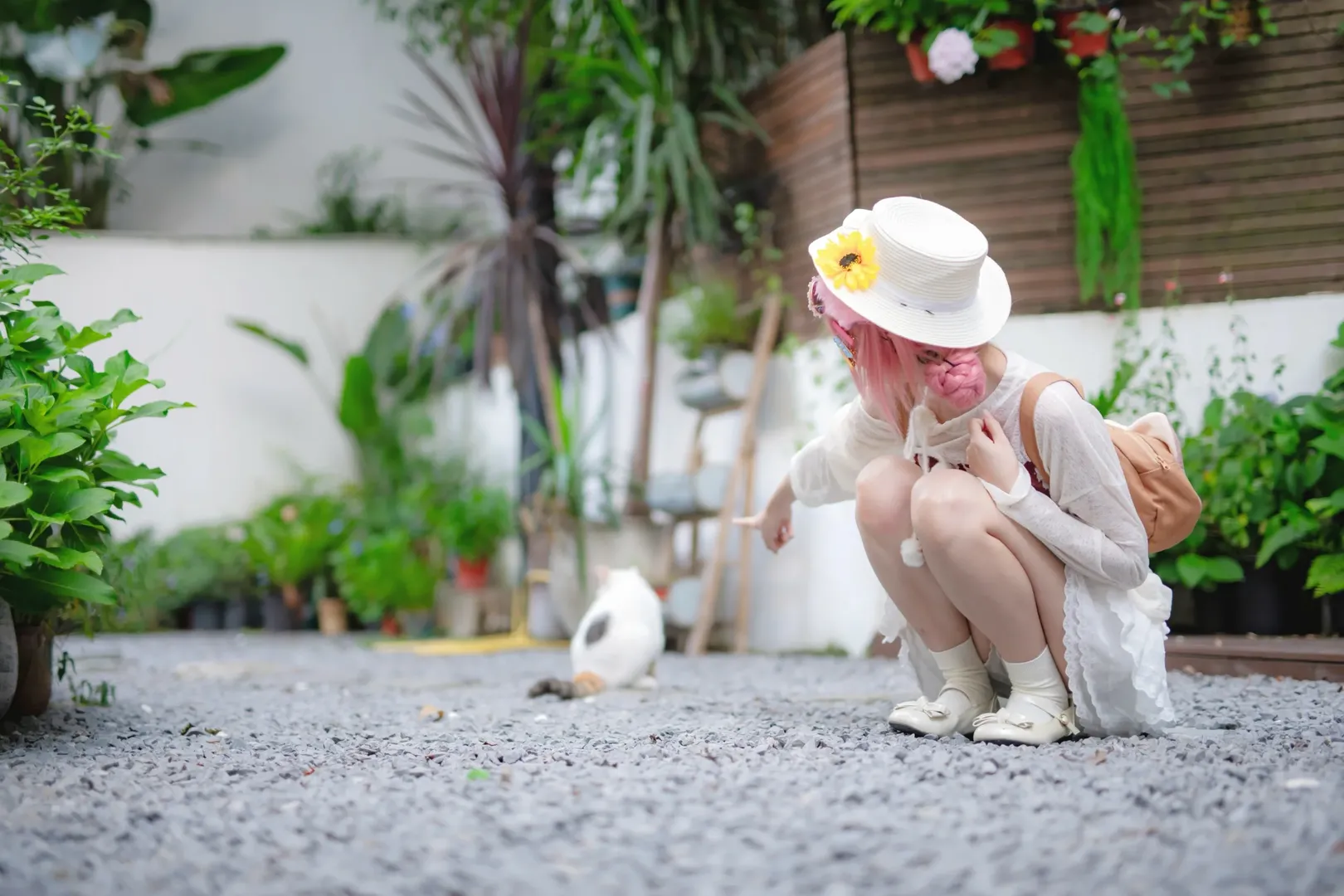 【澄闪cos】等车五分钟的治愈午后，和庭院小猫一起发呆 - 第 1 张