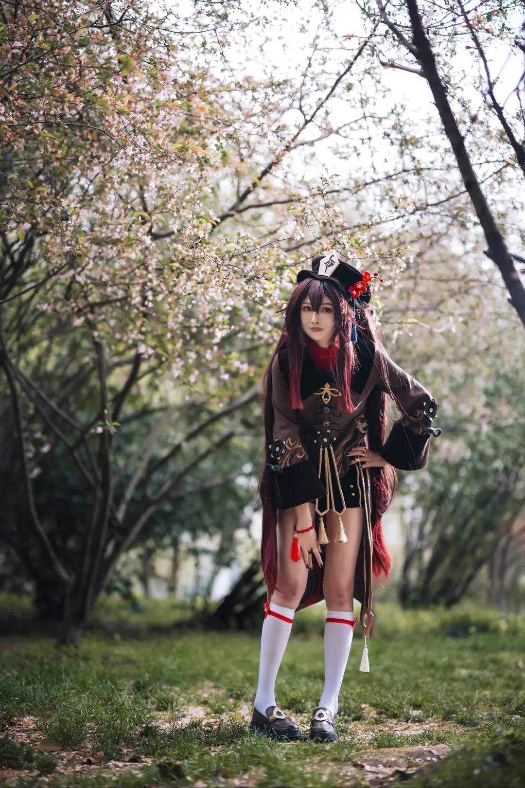 【胡桃cos】春日林间，原神里的往生堂客卿