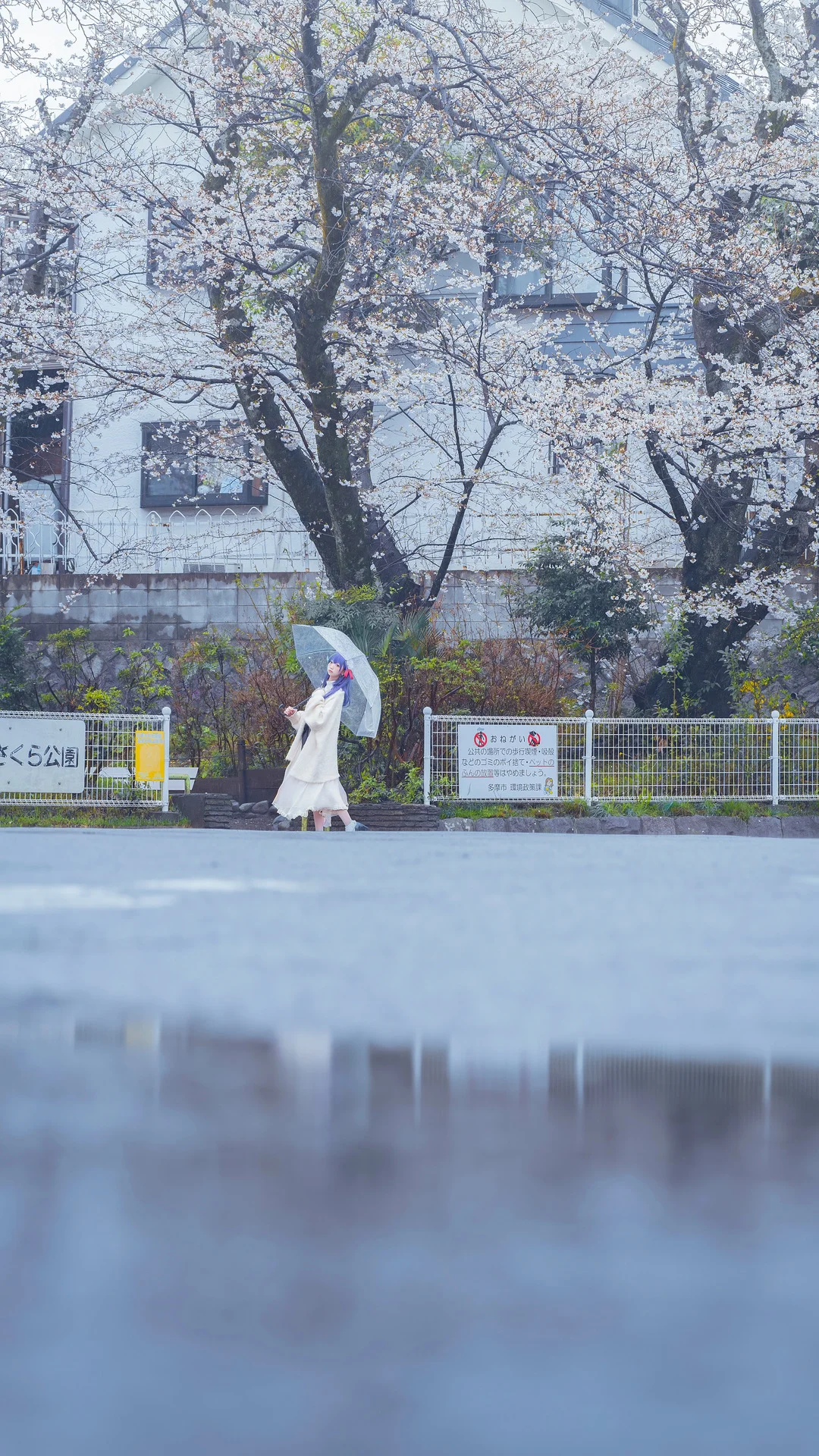 【间桐樱cos】漫步在Fate系列的花雨中 - 第 13 张