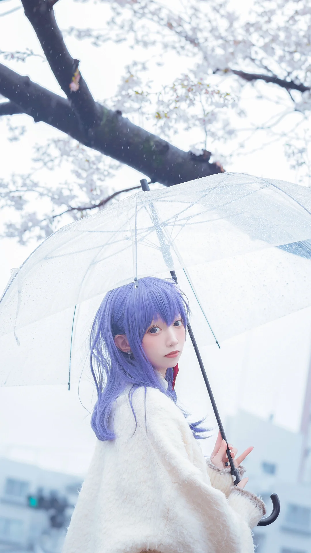 【间桐樱cos】漫步在Fate系列的花雨中