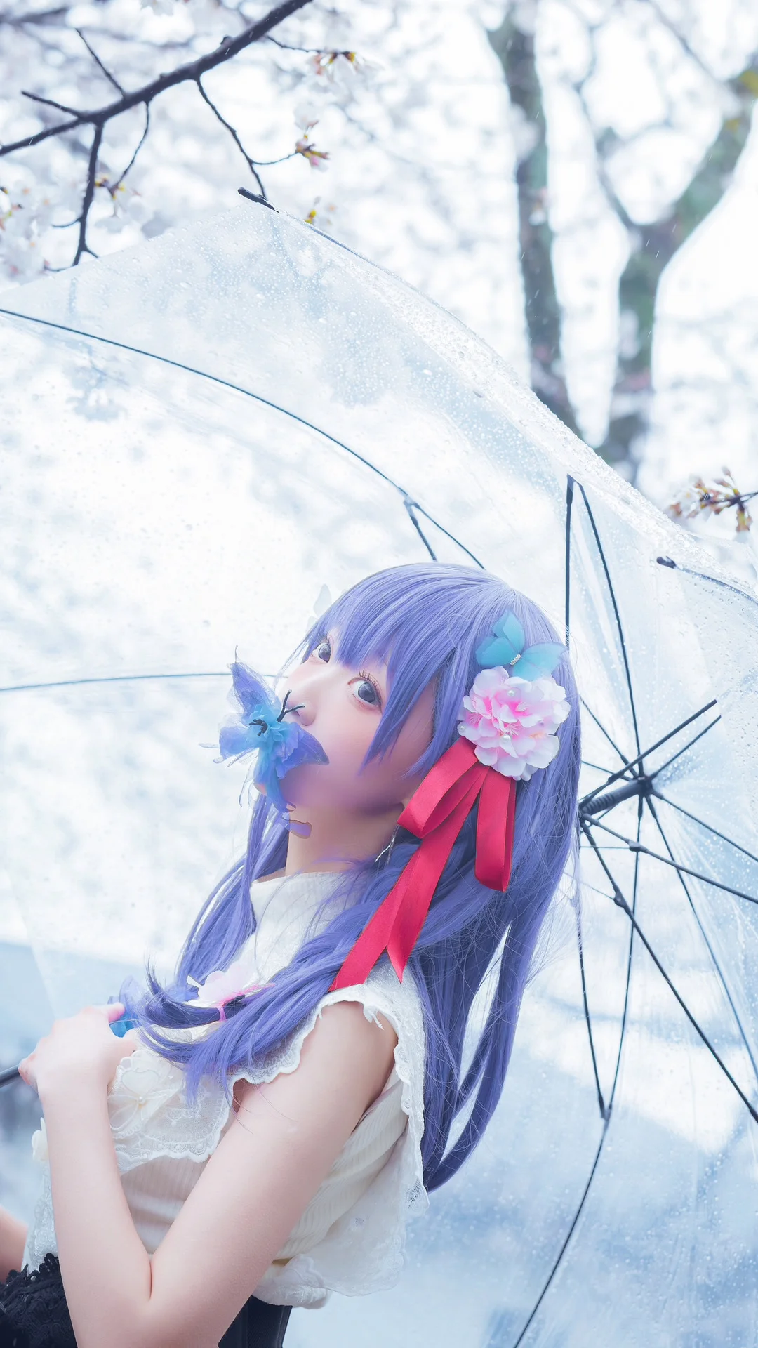 【间桐樱cos】漫步在Fate系列的花雨中 - 第 7 张