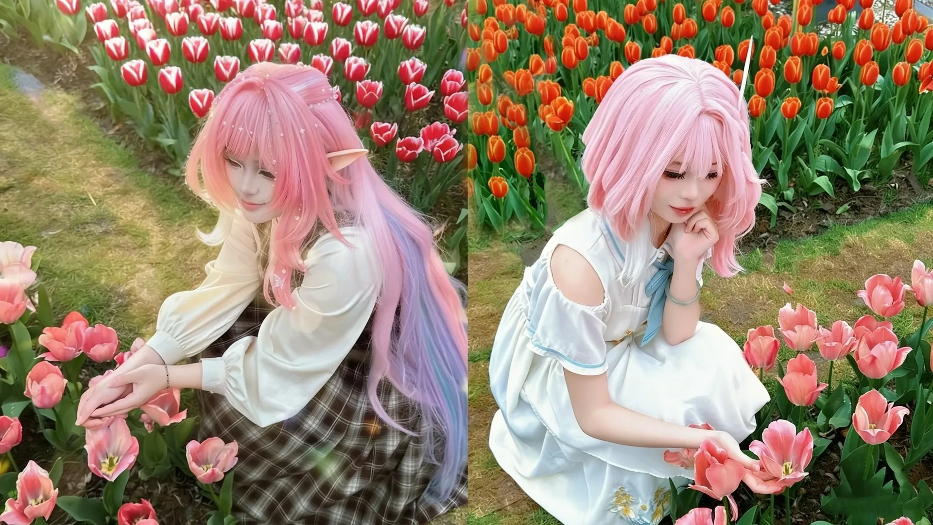 【昔涟cos】在崩坏星穹铁道的郁金香花田里捕捉私设温柔