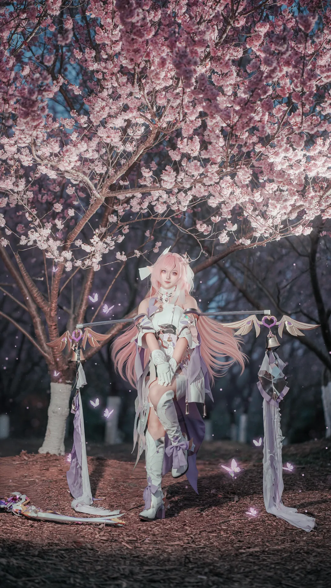 【爱莉希雅cos】崩坏3夜樱之下的白紫幻梦 - 第 1 张