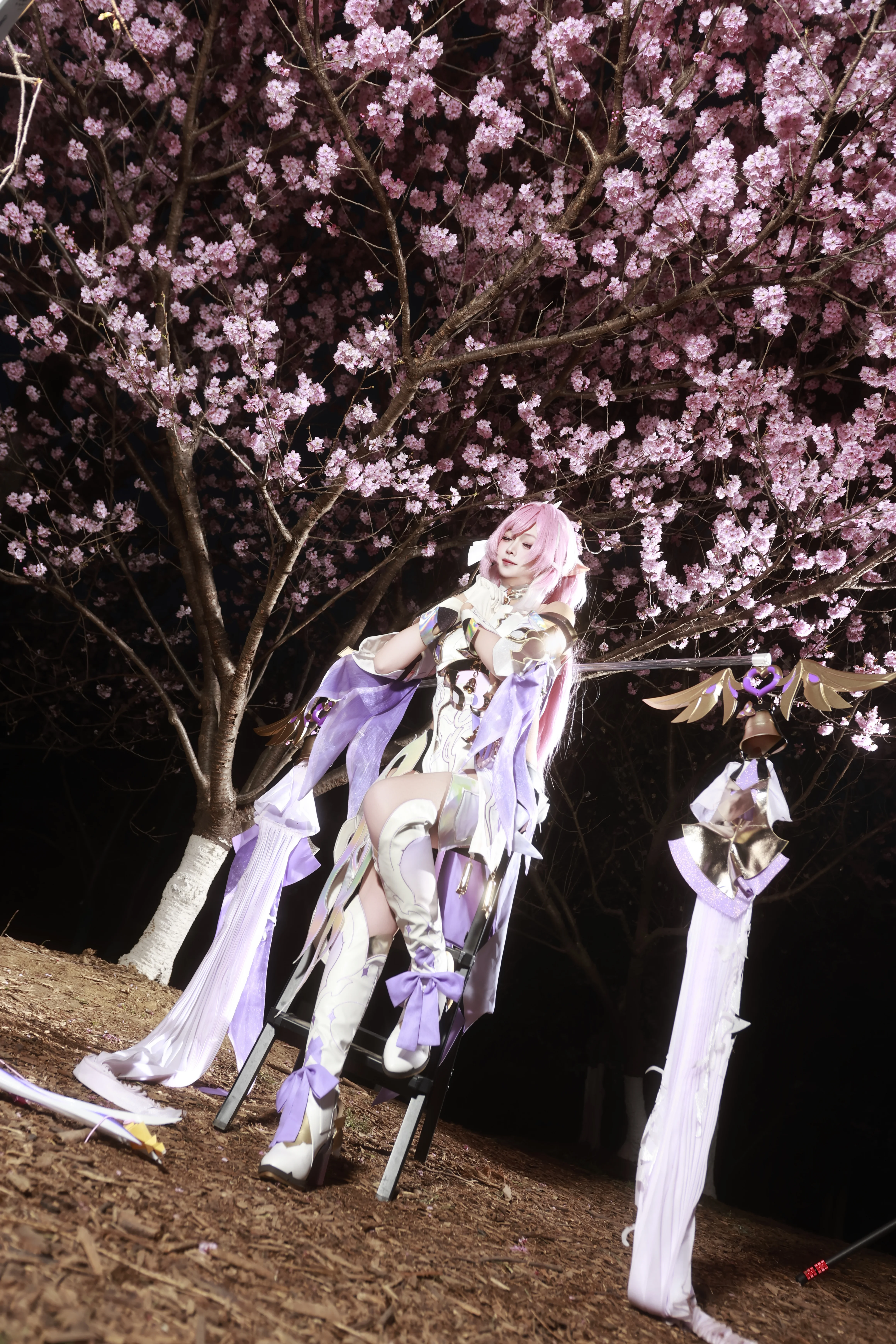 【爱莉希雅cos】夜樱下的粉色精灵，崩坏3的绝美瞬间 - 第 3 张