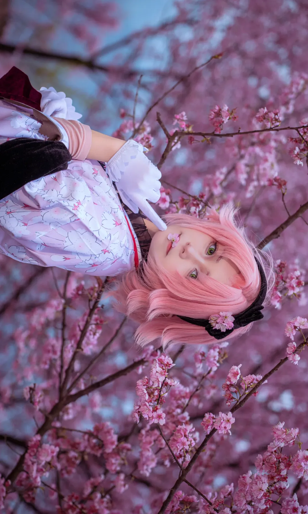 [Haruno Sakura Cosplay] A Spring Freeze-Frame Beneath the Cherry Blossom Trees - Image 3