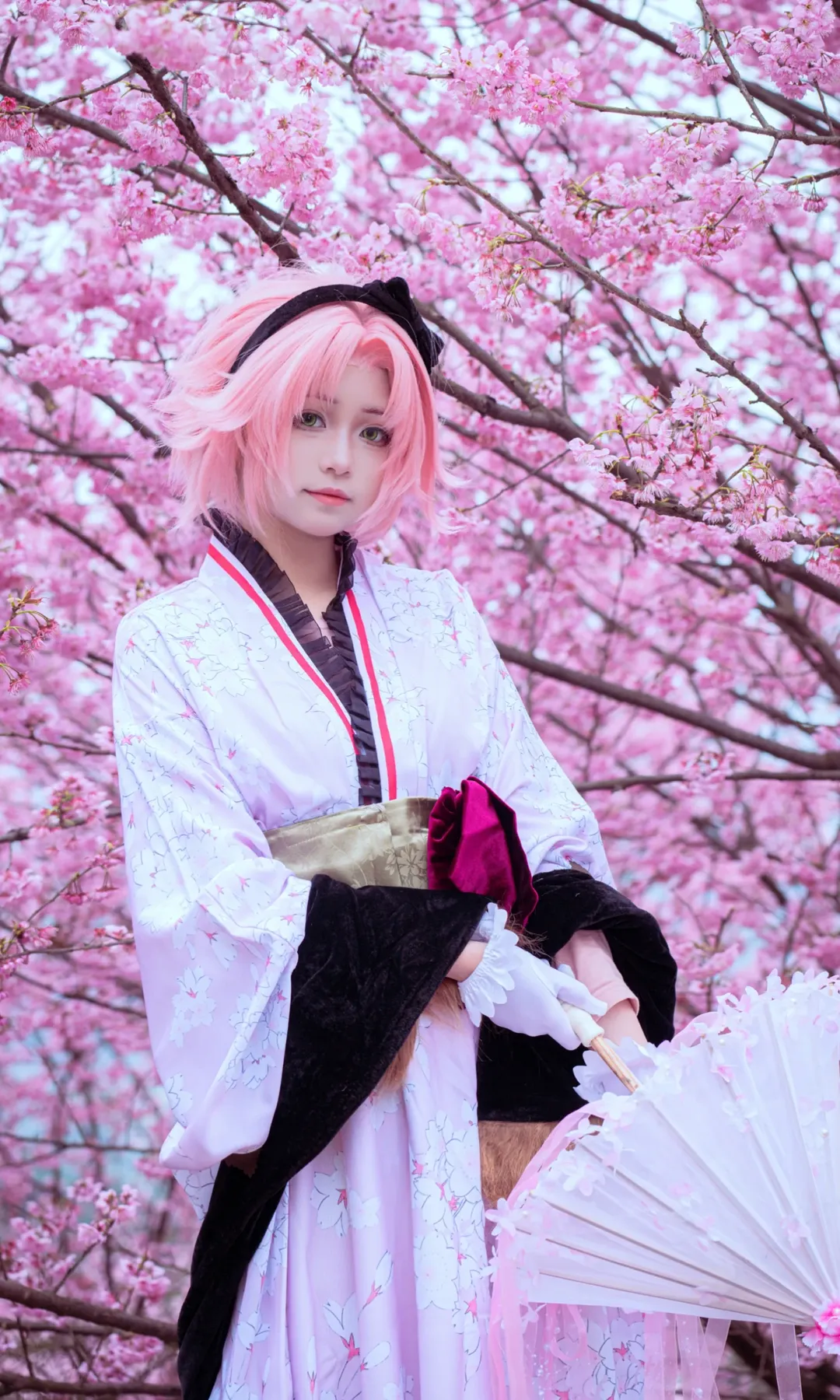 【春野樱cos】樱花树下的春日专属定帧