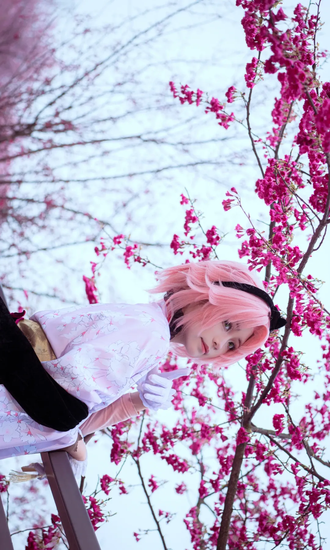 [Haruno Sakura Cosplay] A Spring Freeze-Frame Beneath the Cherry Blossom Trees - Image 8