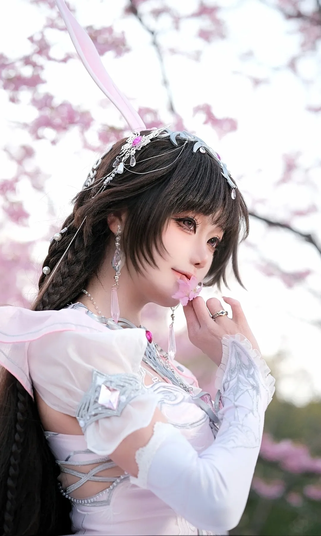 【小舞 コスプレ】『闘羅大陸』の柔骨兎、満開の桜の下で紡ぐ春の邂逅 - 1 枚目