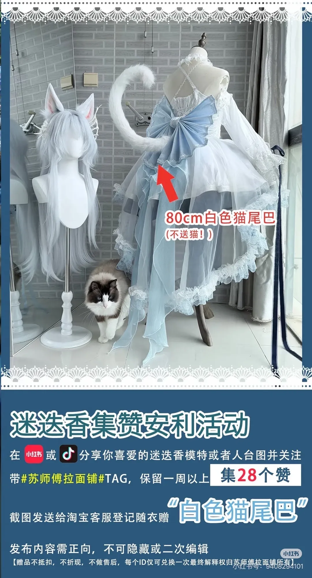 【迷迭香cos】明日方舟里的白丝小猫与蓝裙花丛 - 第 2 张