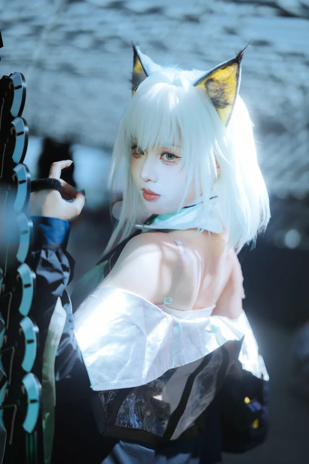 【凯尔希cos】明日方舟七周年的白毛猞猁