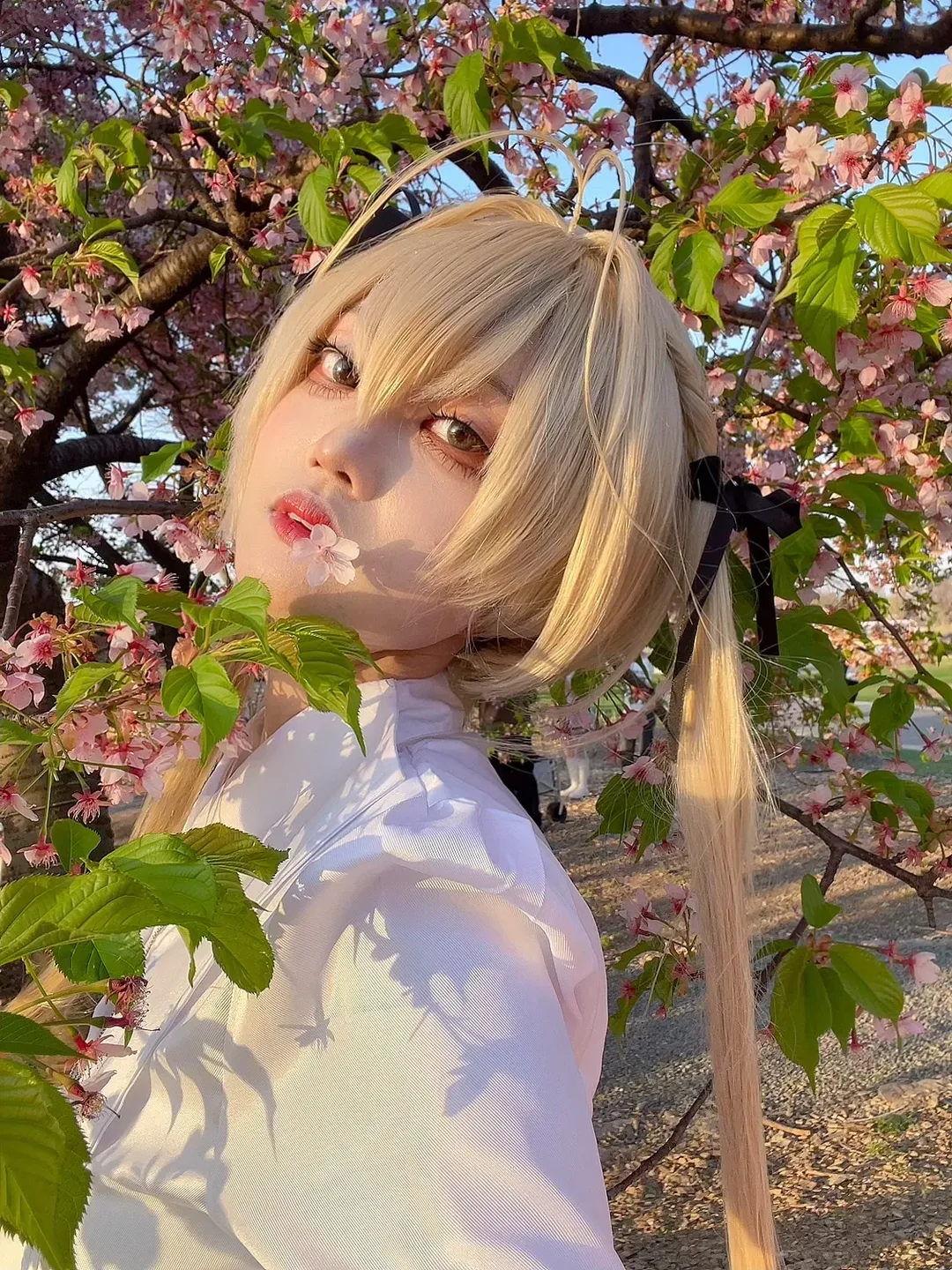 【春日野穹cos】春日里的樱花与缘之空的邂逅 - 第 1 张