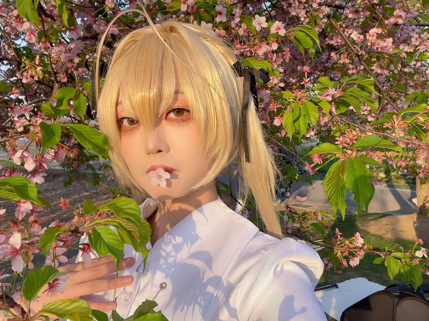 【春日野穹cos】春日里的樱花与缘之空的邂逅 - 第 5 张