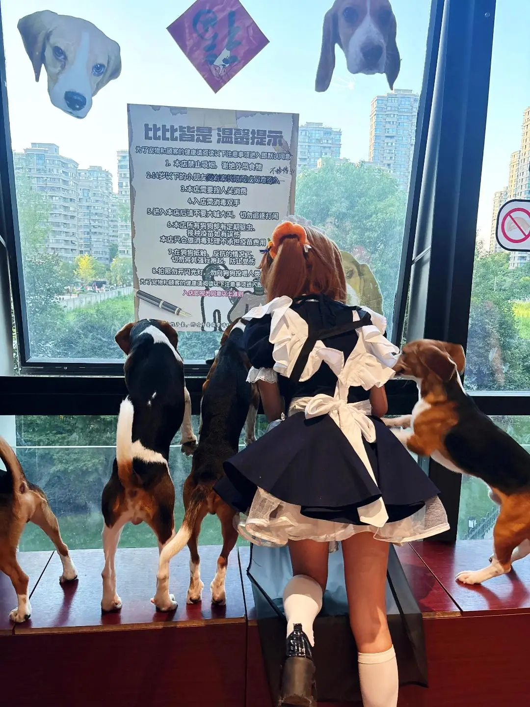 穿天使女仆装去比格主题店，与“土匪”们的互动日常