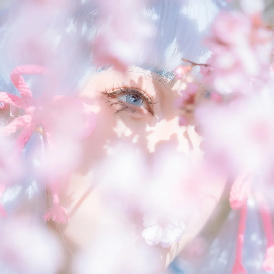 【神里绫华cos】原神樱花季拍摄过程记录